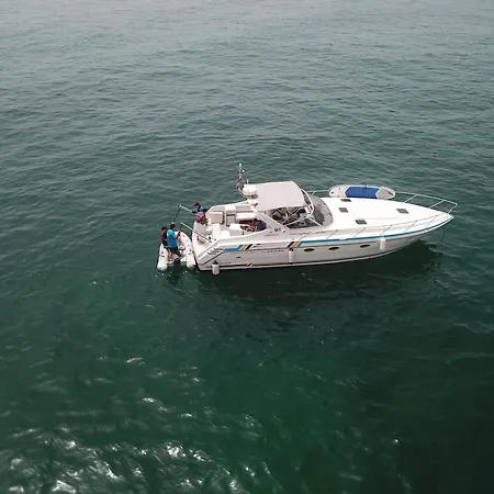 Bluechip * Portimão