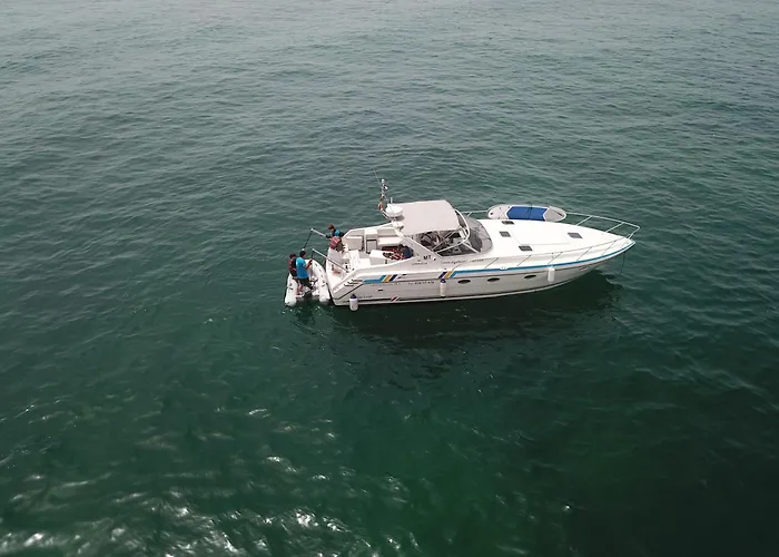 Bluechip * 포티마오